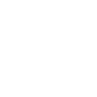 盾